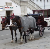 画像ファイル名: carrozza.jpg